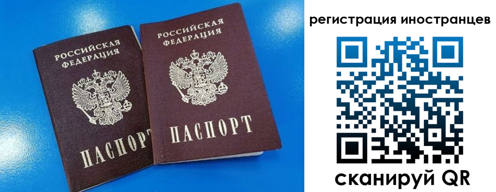 временная регистрация поиск в Зее