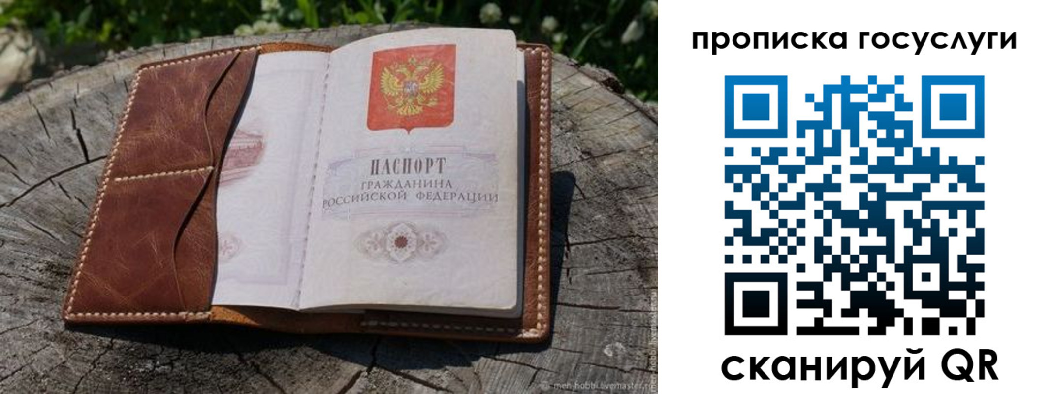 прописка для школы в Зее